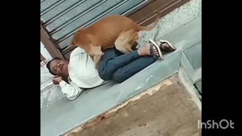 The old man is sleeping and the dog is trying to have sex with him funny moments