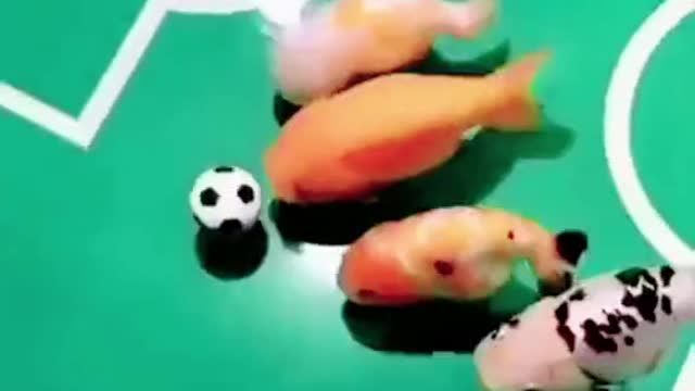 Fish play football game