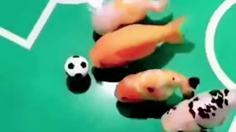 Fish play football game