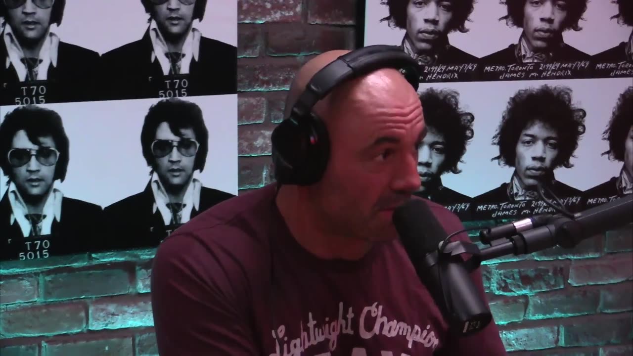 Joe Rogan Experience #717 - Steve-O