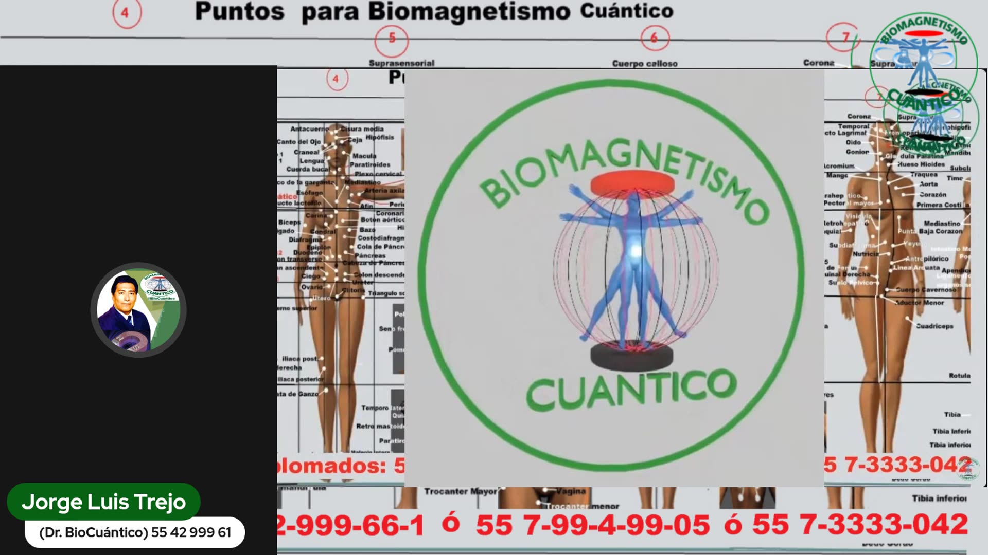 El Lenguaje Cuántico de la Sanación: Biomagnetismo Cuántico y la