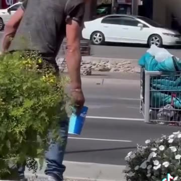 O que o STF quer para o Brasil