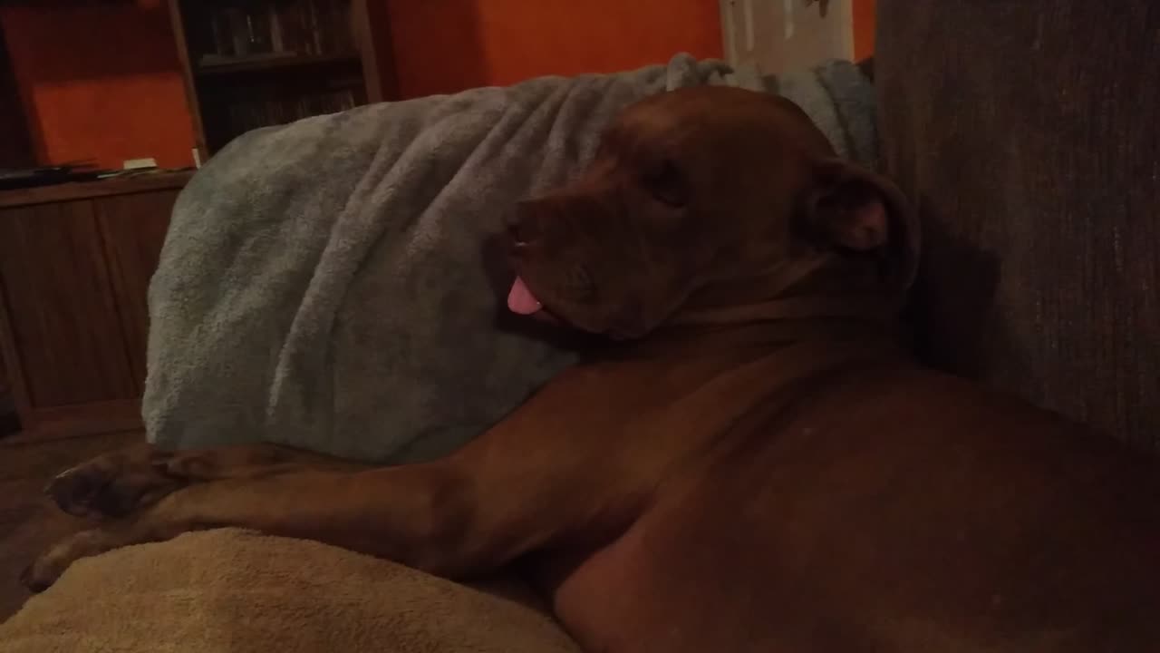 Sleeping Jessie