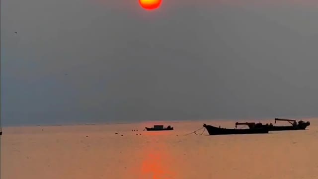 The person who brushes this video will be very lucky