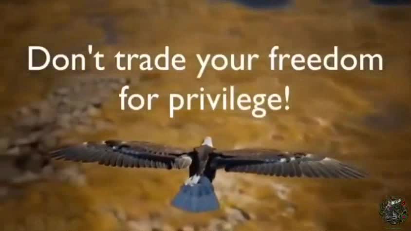 Don't trade your Freedom for Privilege