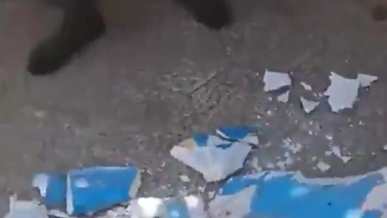 排他的なイスラム教徒。世界中で嫌われる。