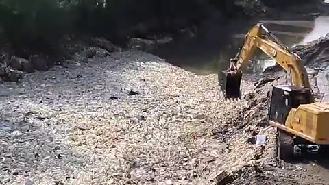 Ocean clean up