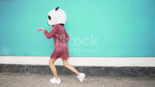 Dancing panda stock video