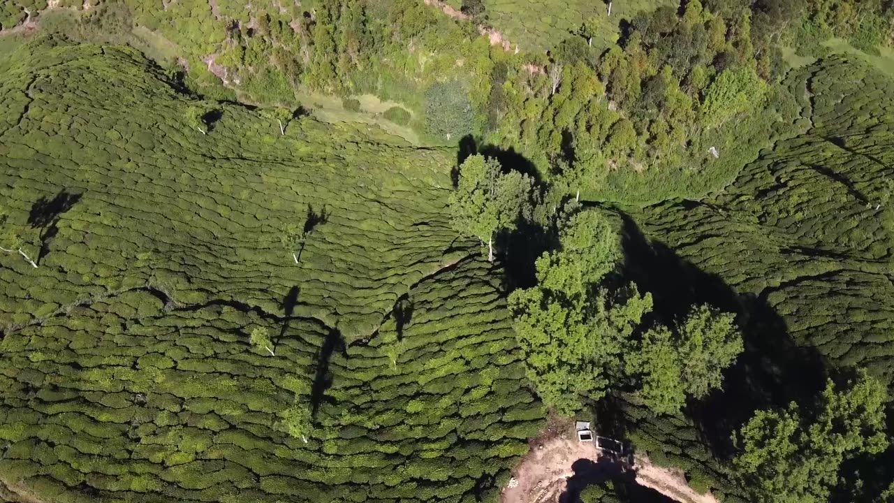 The Colors of Nature - A Virtual Journey to the World's Most Beautiful Landscapes