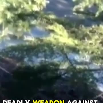 He was facing 65 years behind bars, but was ACQUITTED