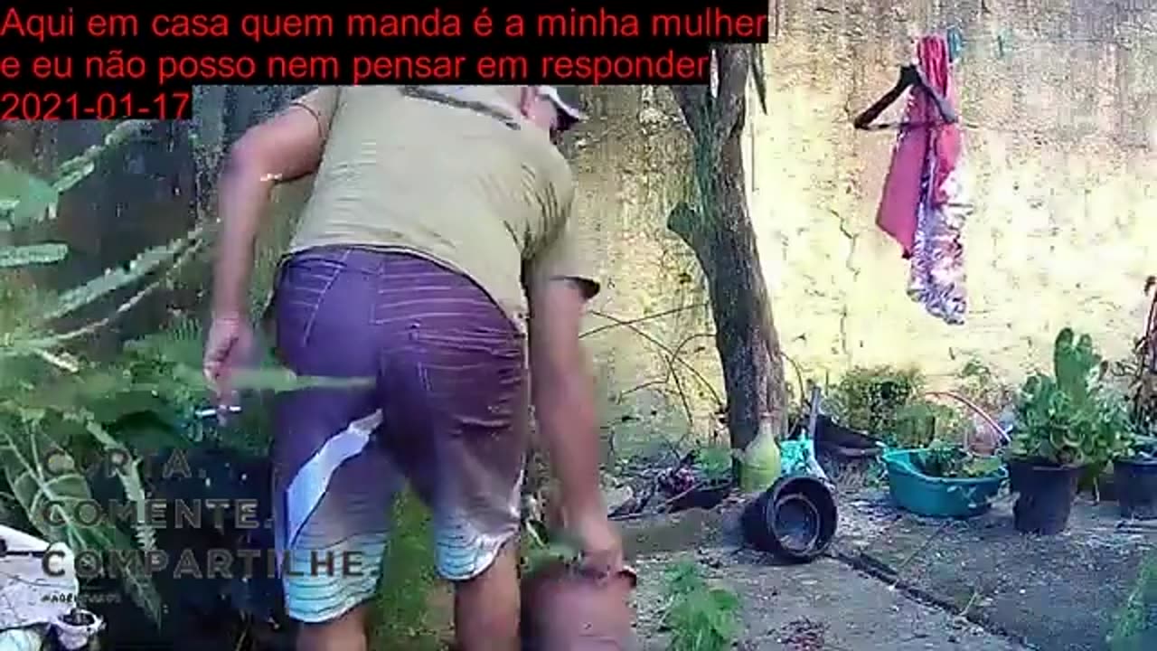 5 maneiras brilhantes de usar a limpeza do quintal parte 6