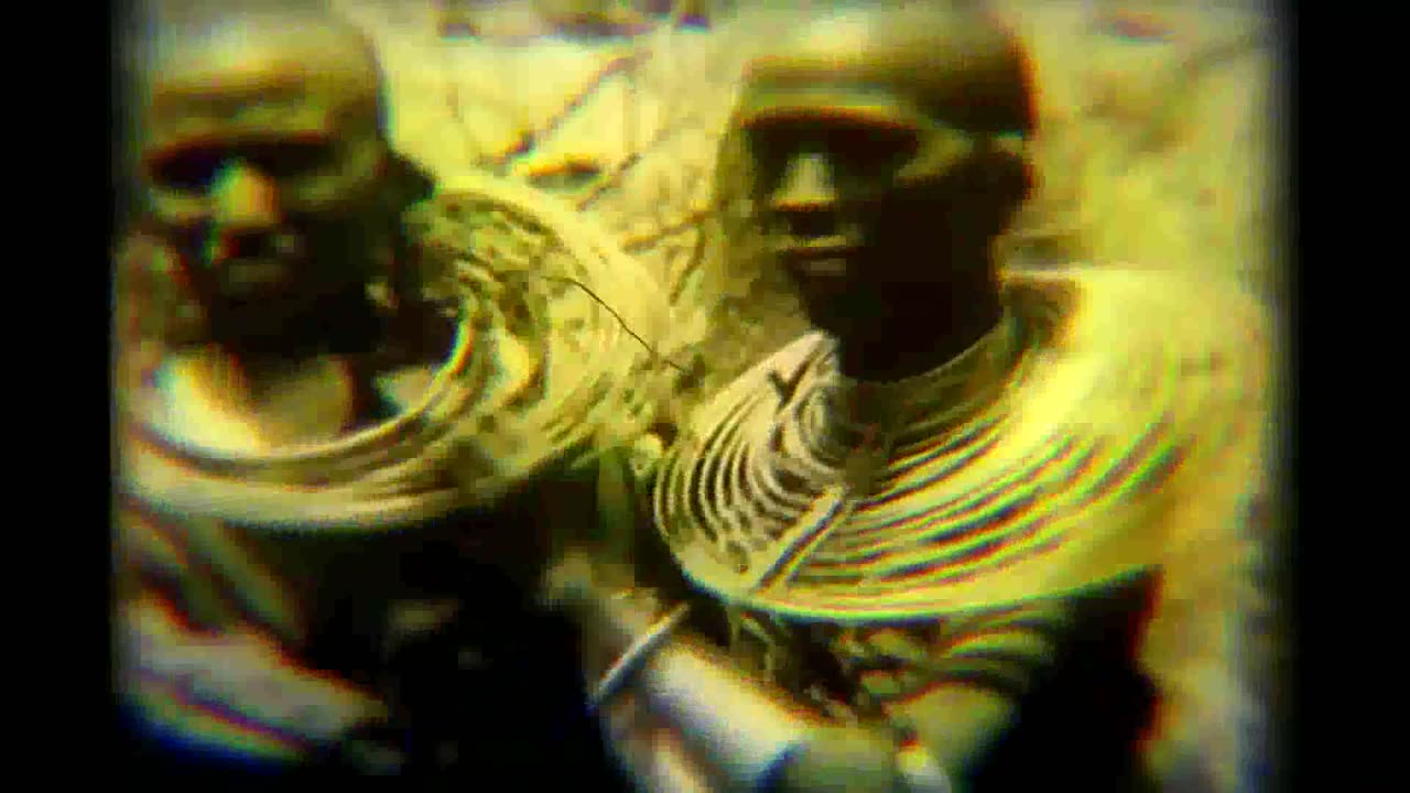 William Pierce - White Race Suicide