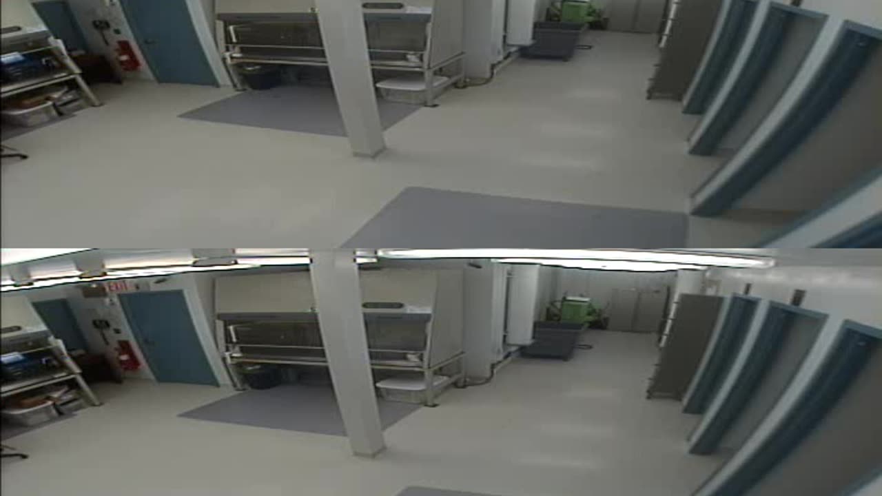 1702CRIB01CribAnalysisArea_2021-01-06_20h00min03s367ms.mp4