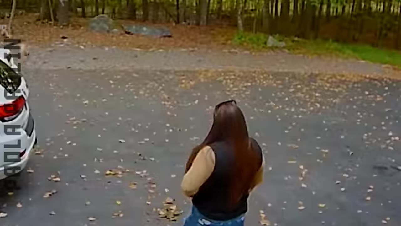 Oddly Funny Fails