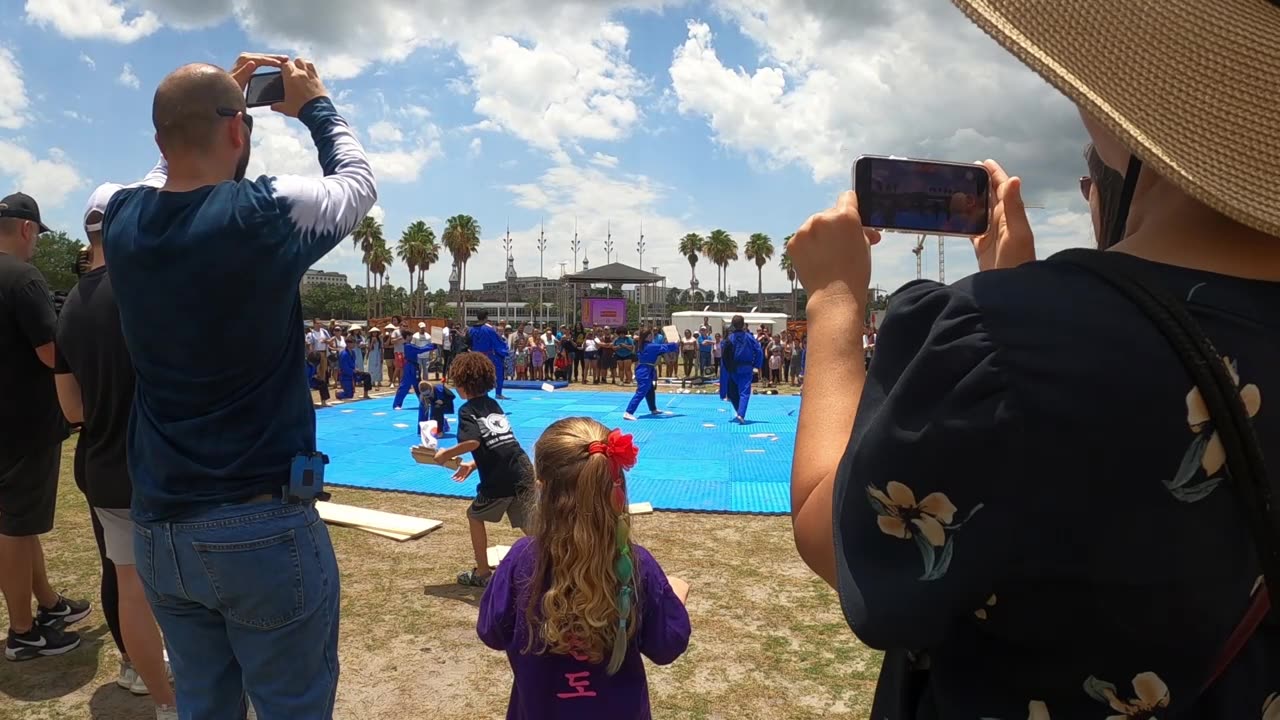 Tampa Florida Asian Festival