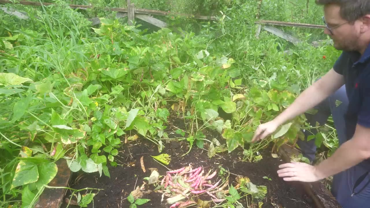 How to Cook Beans and Resist Dread