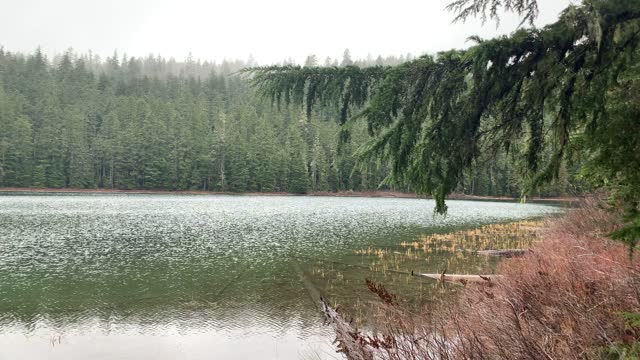 Oregon – Mount Hood National Forest – Panoramic Views of Lower Twin Lake – 4K