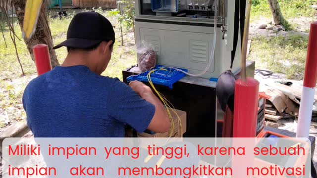 Bijak
