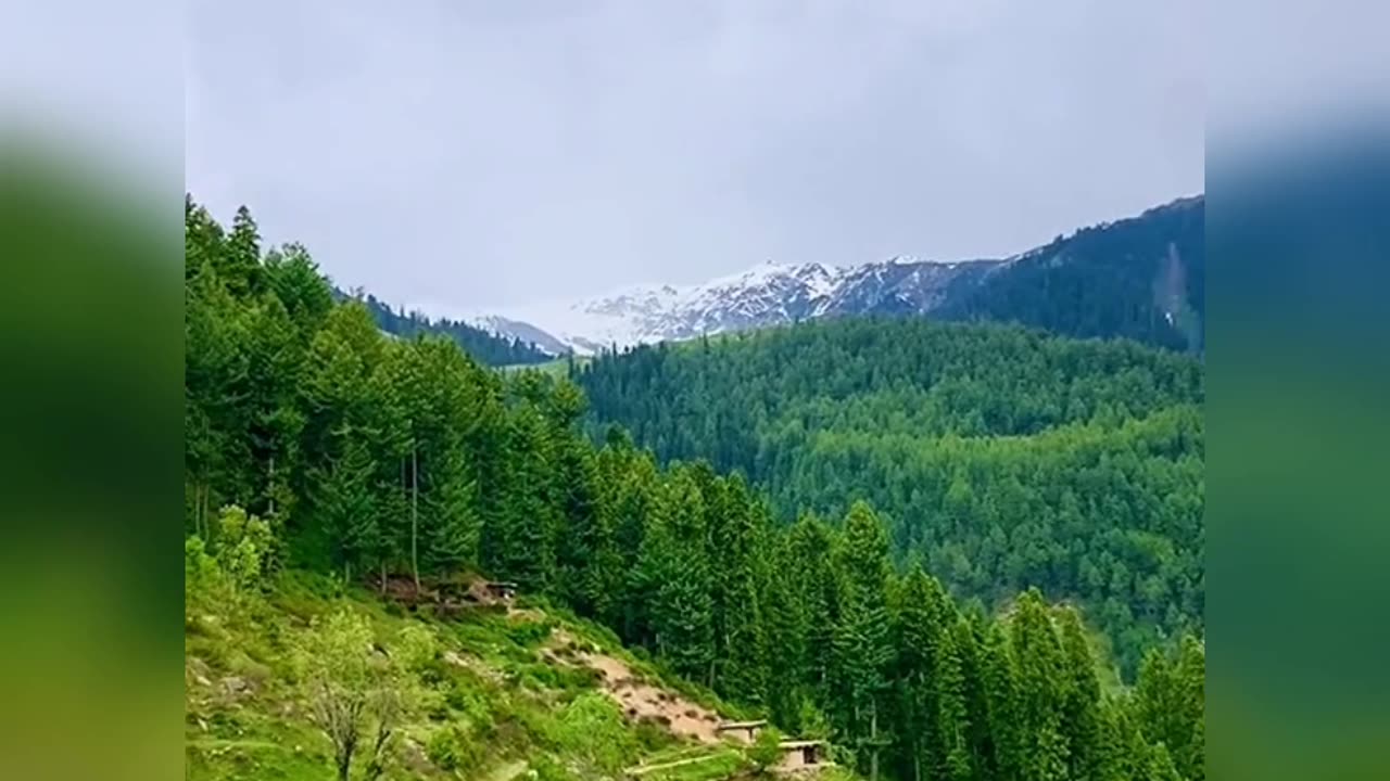 Kashmir Beauty Views