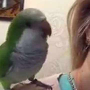 Bird kissing Owner