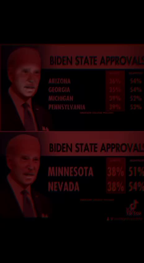 81 Million Votes My Ass