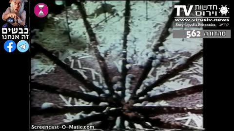 מחקר מרתק של דקטור קלהון משנות ה-70 עוסק בנזקים שגרמה צפיפות אוכלוסין באוכלוסית עכברים המדמה אוכלוסיה אנושית