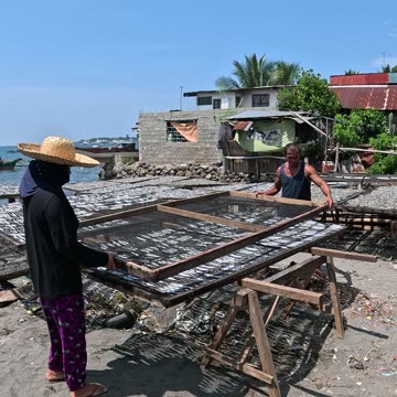 From Sea to Sun The Traditional Craft of Bulad Production. Check Out Those Bulad Flipping Skills!