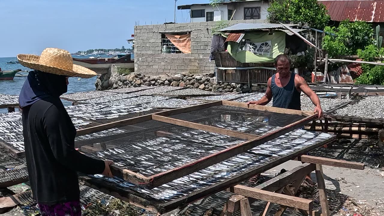 From Sea to Sun The Traditional Craft of Bulad Production. Check Out Those Bulad Flipping Skills!