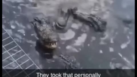 Memes you laugh you cry