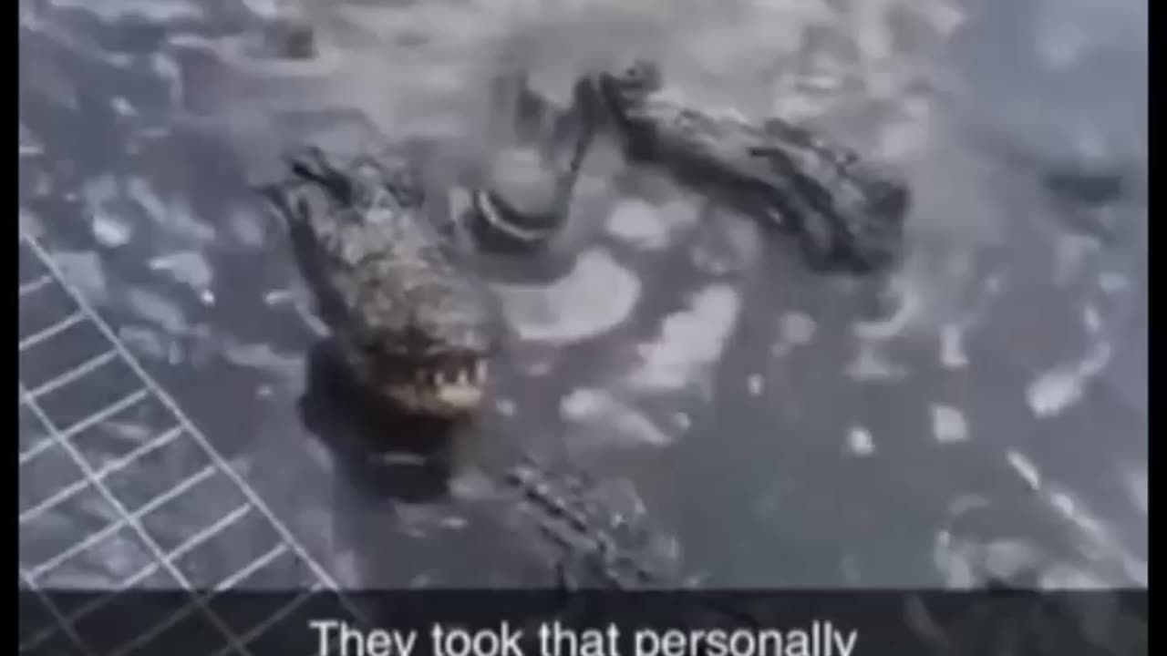 Memes you laugh you cry