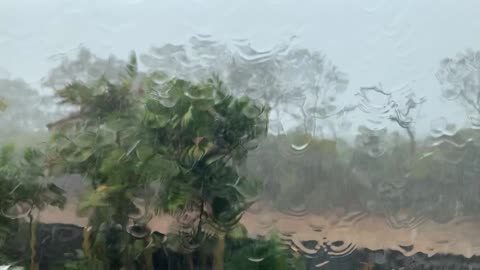 Rainy day.
