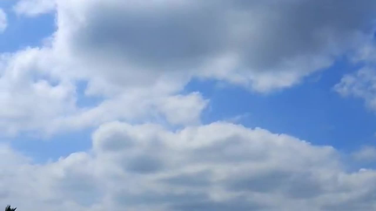 Man Spotted Pterosaur-Like Creature Flying In The Skies