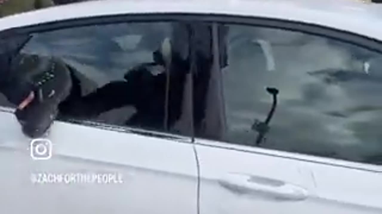 Ground Video of Mob Swarming Car