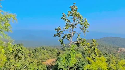 View from Coffee point || korba || Chhattisgarh