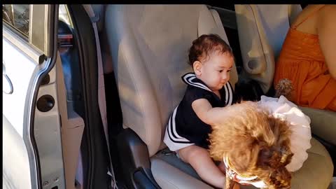 Cute dog and child