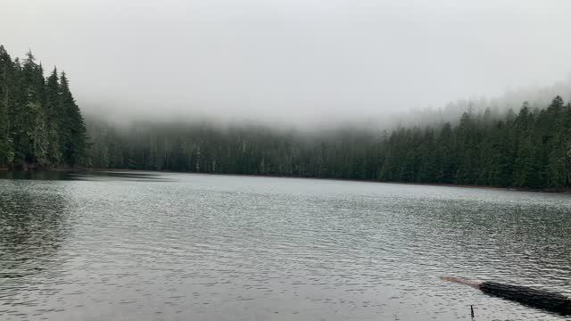 Oregon – Mount Hood National Forest – Shoreline of Lower Twin Lake – 4K