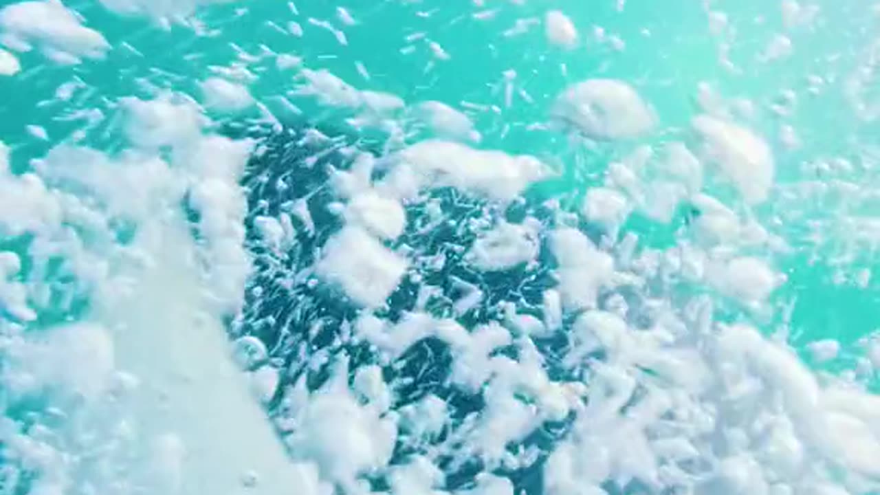 Sea Hanters