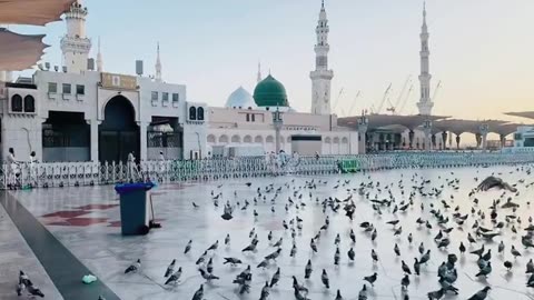 Madennah munwara video