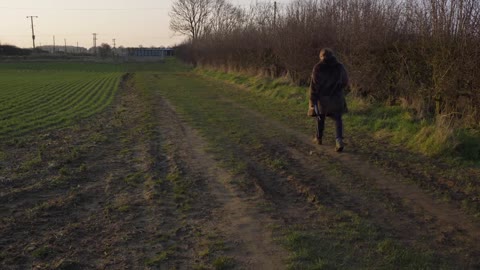 Wide Shot of Dog Walker In Field