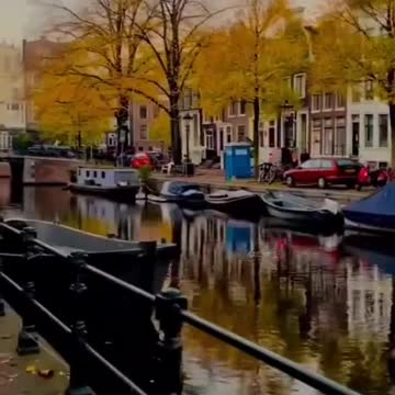 Beautiful Viral video