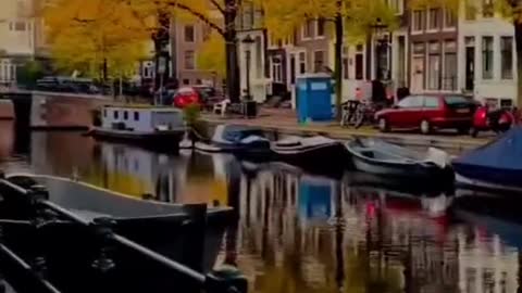 Beautiful Viral video