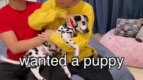 They Bought The World's Rarest Puppy!