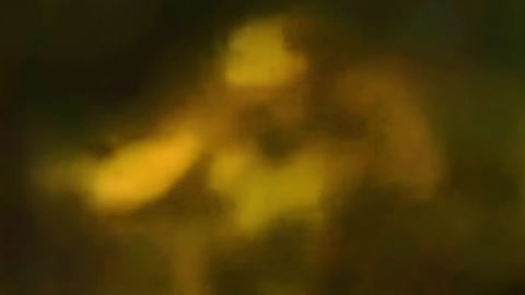 664. LIZARD MAN CAUGHT ON CAMERA