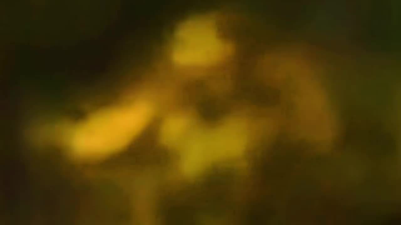 664. LIZARD MAN CAUGHT ON CAMERA