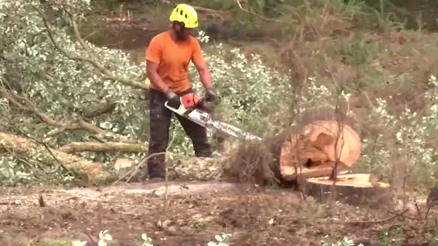 Wildfires leave scorched forests in southwestern France