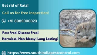 Rodent Control Services in Cochin