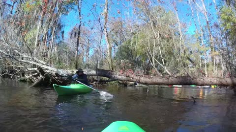 LRCC Christmas Paddle on the Little Pee Dee River