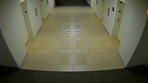 8404OHOB03O3A2MainElevatorLobby_2021-01-06_04h20min00s733ms.mp4