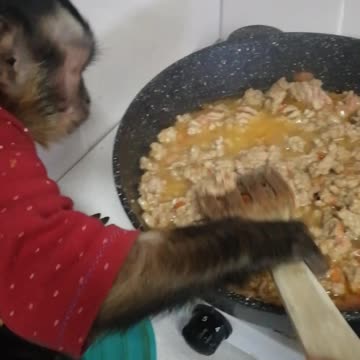 Мамин помощник