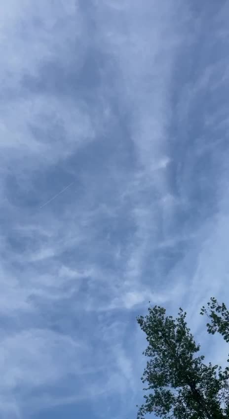 Chemtrails wszędzie rozpylają mieszankę grzybów z toksynami dla Plandemia 2.0.